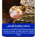 شركة مكافحة الأبراص