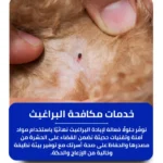 شركة مكافحة البراغيث