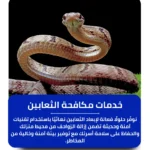 شركة مكافحة الثعابين