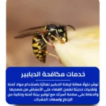 شركة مكافحة الدبابير