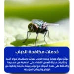شركة مكافحة الذباب