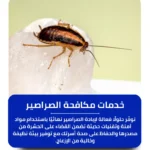 شركة مكافحة الصراصير