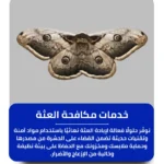 شركة مكافحة العثة