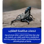 شركة مكافحة العقارب