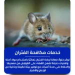 شركة مكافحة الفئران