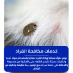 شركة مكافحة القراد