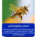 شركة مكافحة النحل