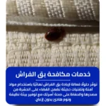 شركة مكافحة بق الفراش