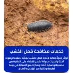 شركة مكافحة قمل الخشب