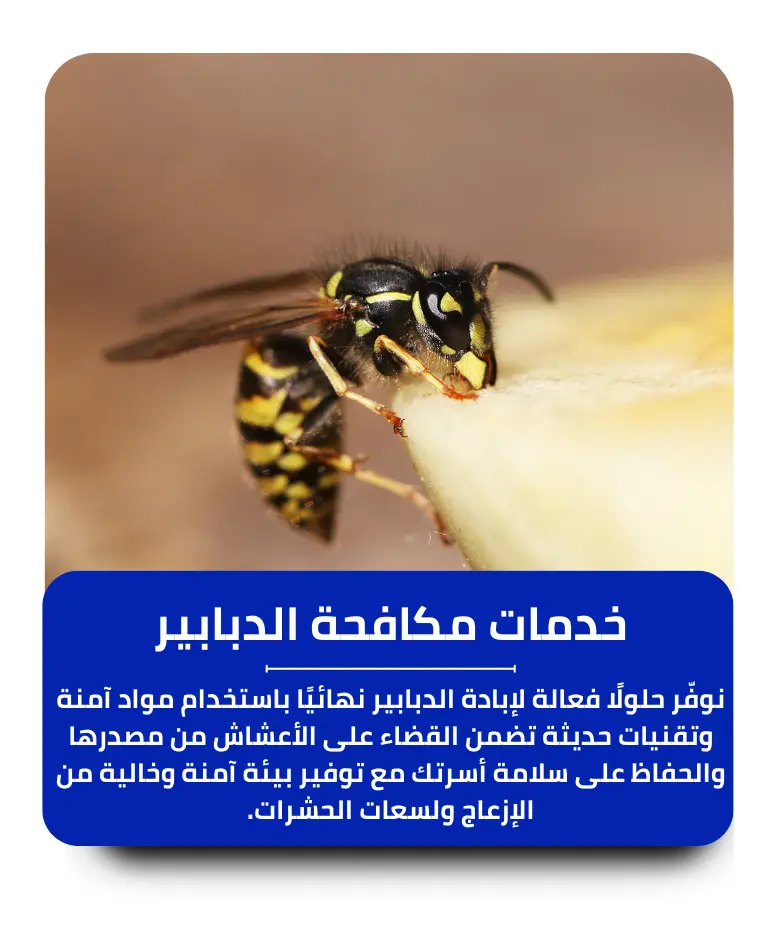 مكافحة الدبابير