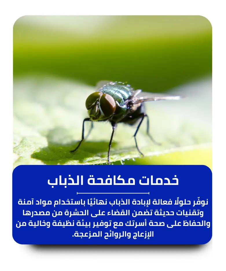 مكافحة الذباب