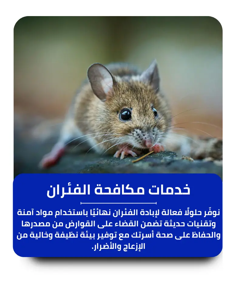 مكافحة الفئران