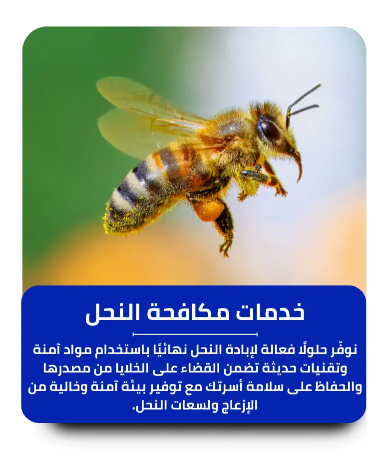 مكافحة النحل