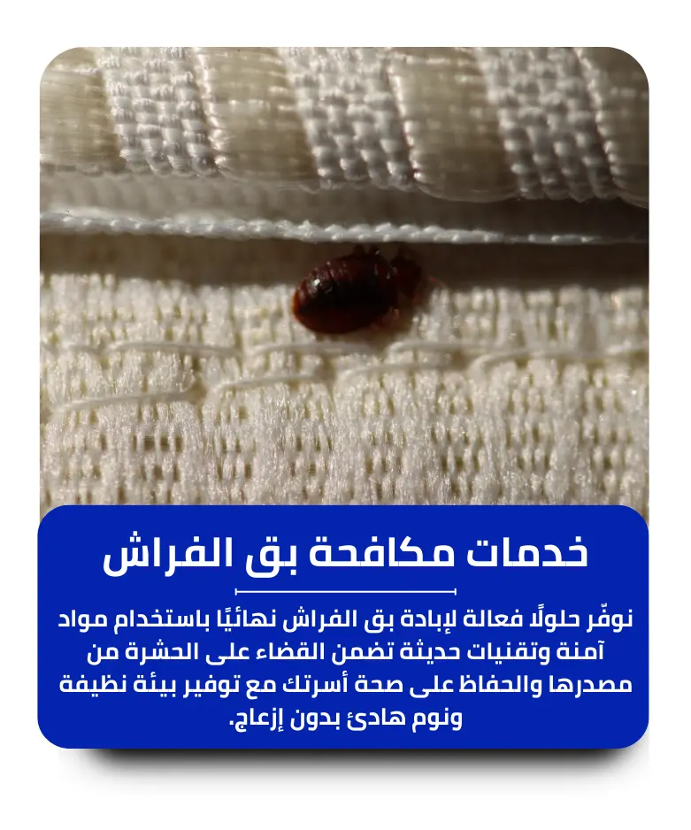 مكافحة بق الفراش