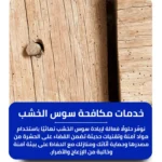 شركة مكافحة سوس الخشب