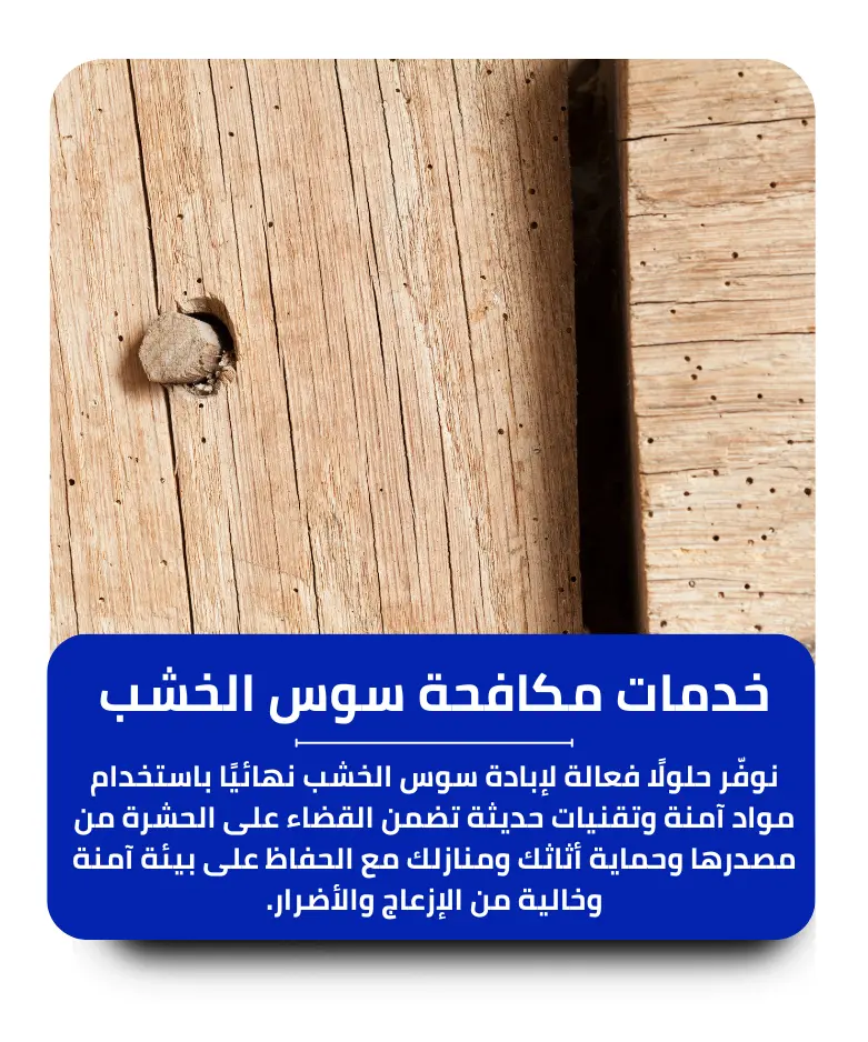 مكافحة سوس الخشب